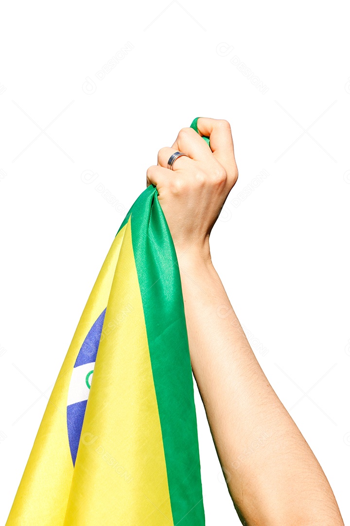 Segurando a bandeira do Brasil ao vento