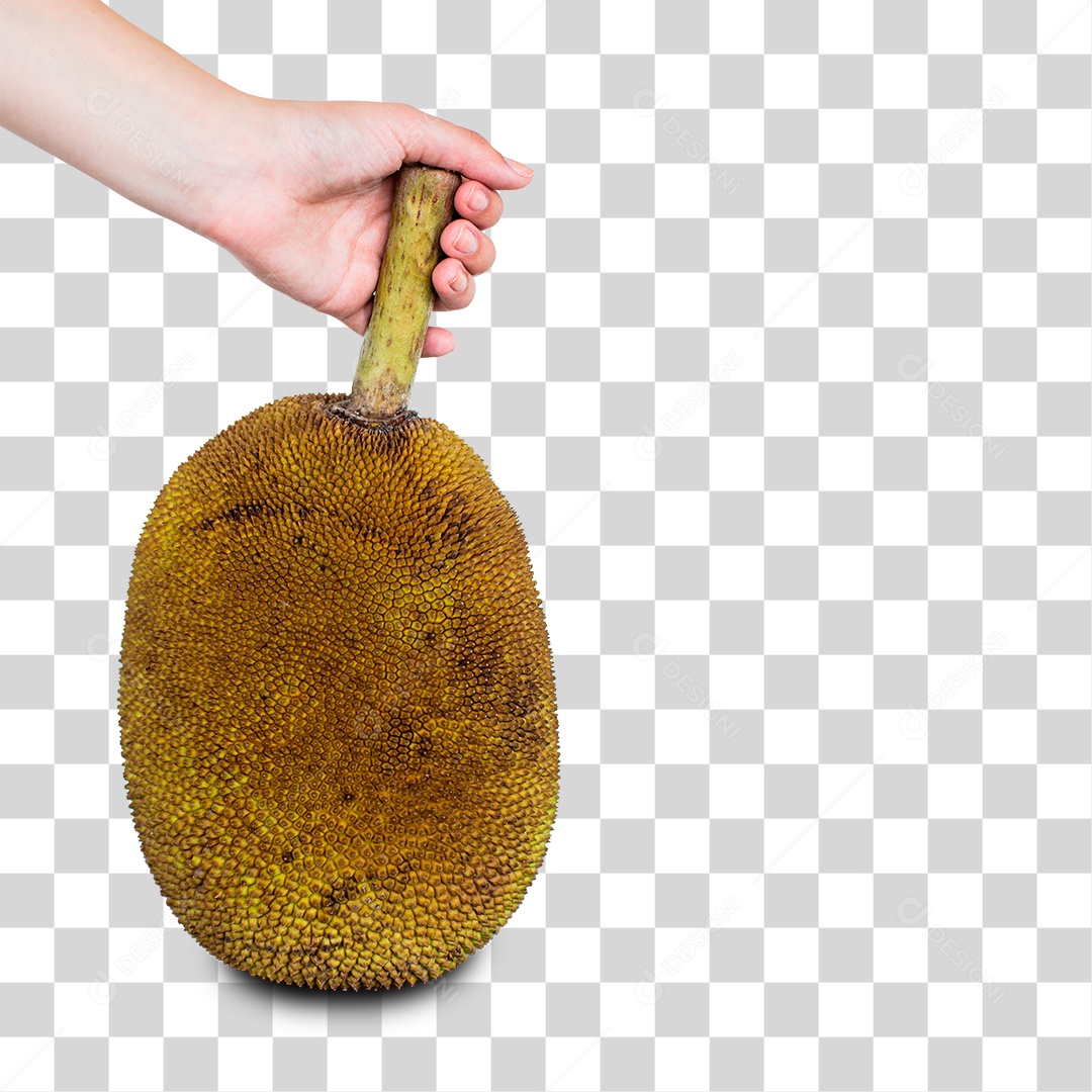 Jaca PNG Transparente