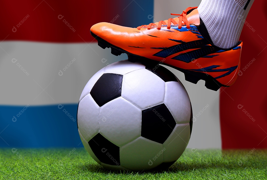 Competição da Copa de Futebol entre a Holanda nacional e a França nacional.