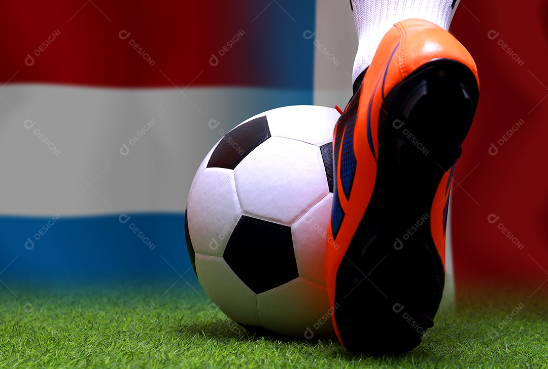 Competição da Copa de Futebol entre a Holanda nacional e a França nacional.