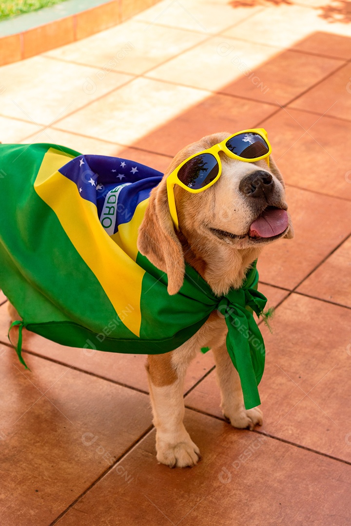 Cachorro com bandeira do Brasil no jardim com óculos amarelos e bandeira torcedor
