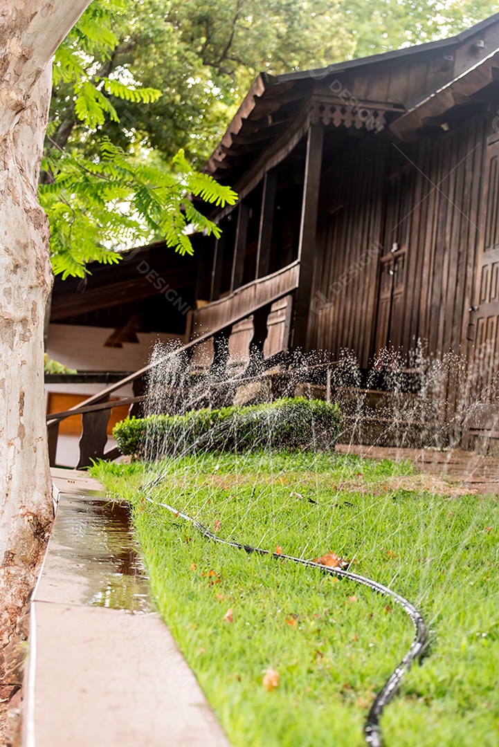 Aspersor de gramado regando grama verde no verão