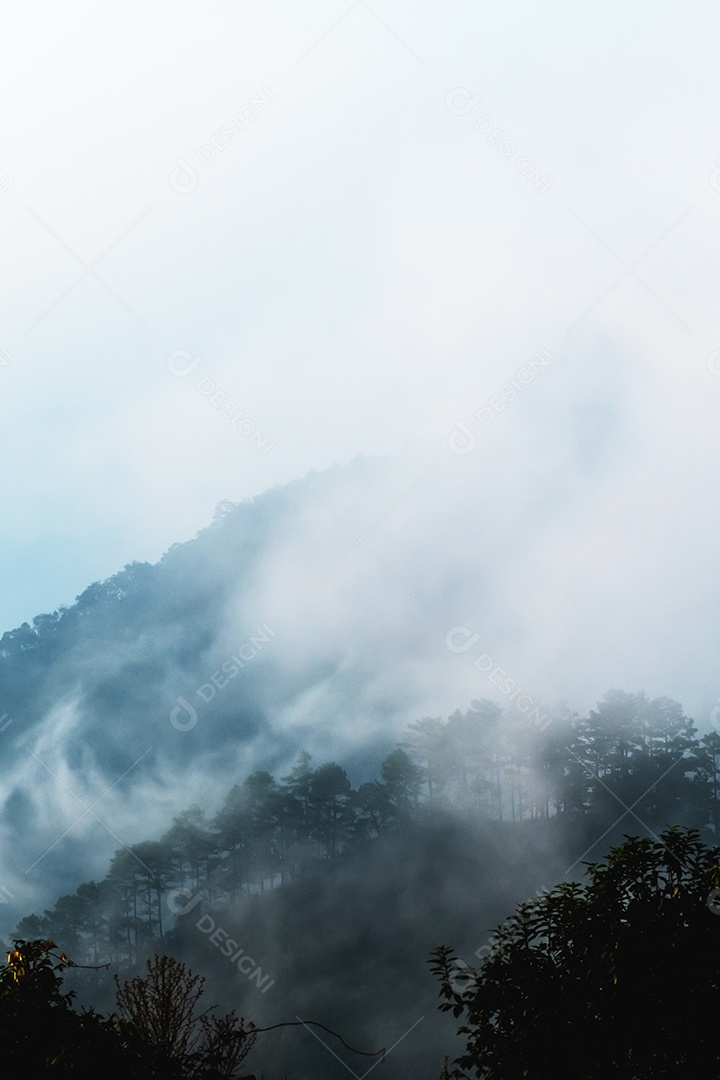 Paisagem enevoada com montanhas de floresta de abetos no nevoeiro