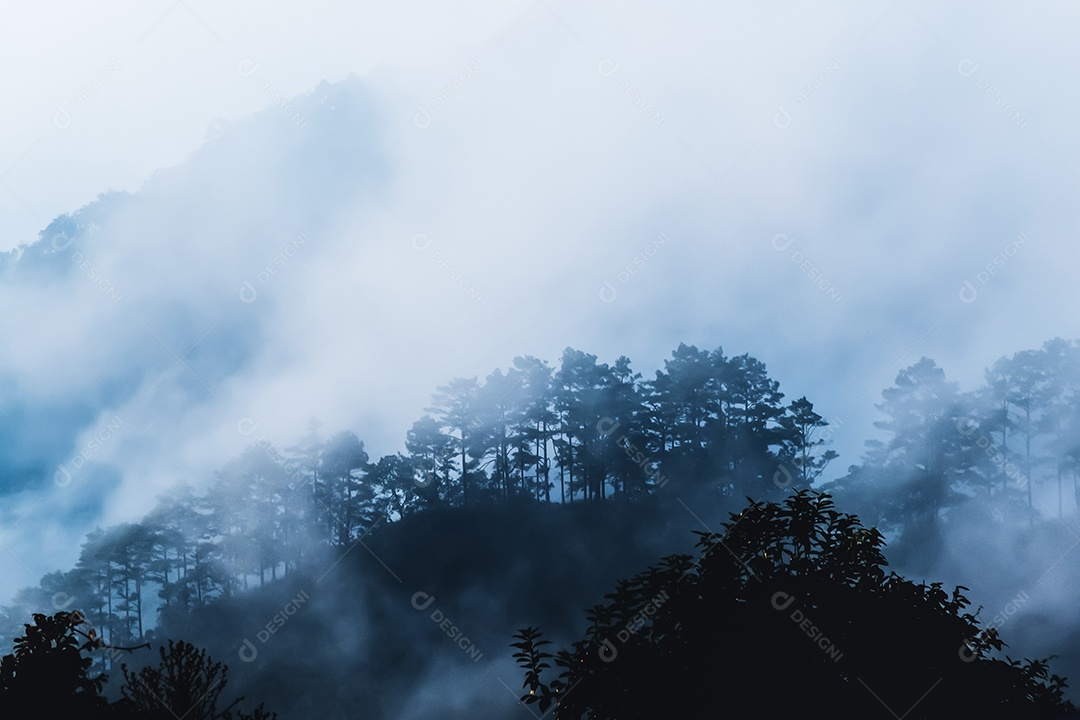 Vista montanha com nevoa