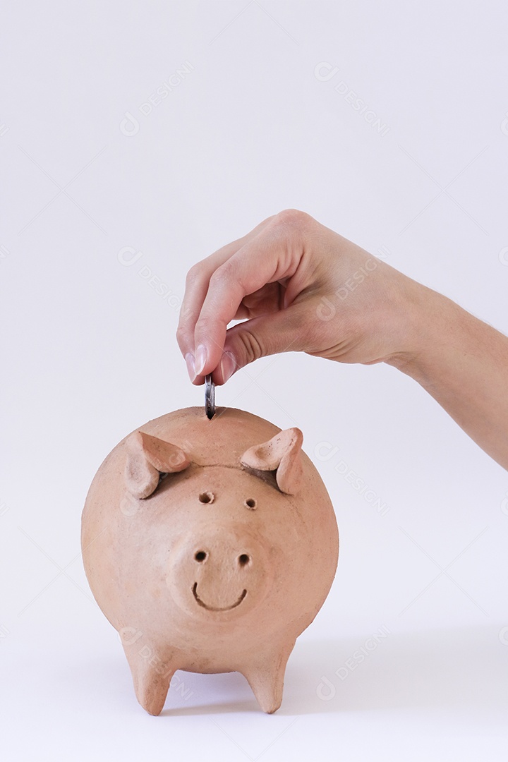 Porco com moedas brasileiras isoladas em fundo branco