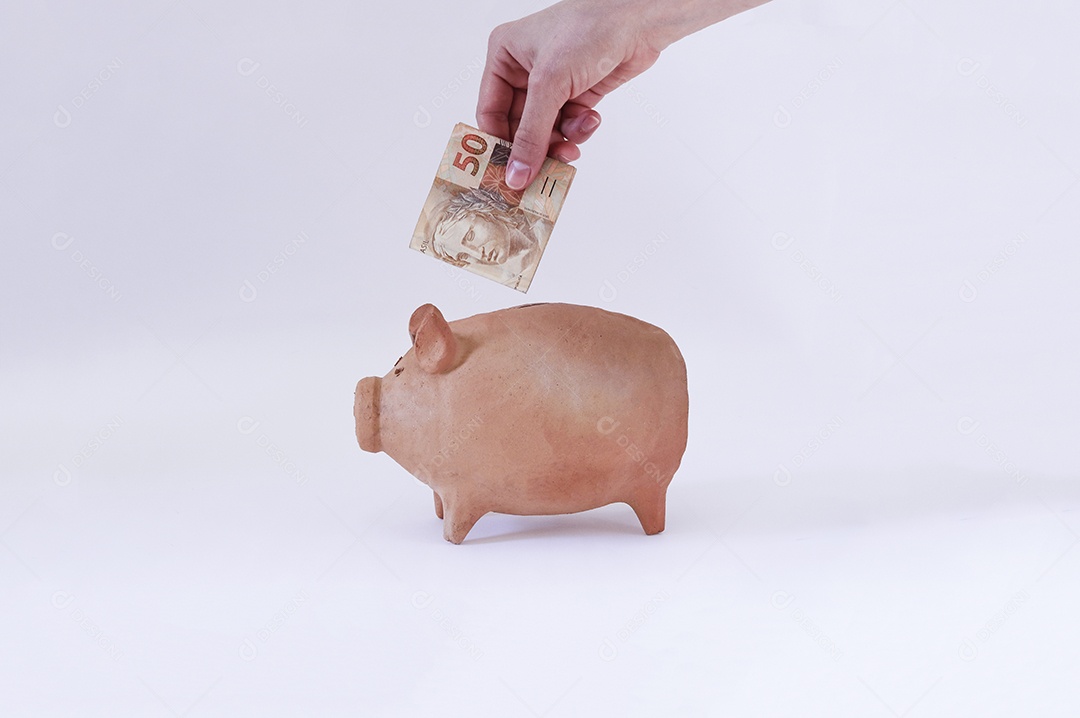 Porco com moedas brasileiras isoladas em fundo branco