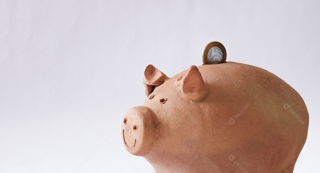 Porco com moedas brasileiras isoladas em fundo branco