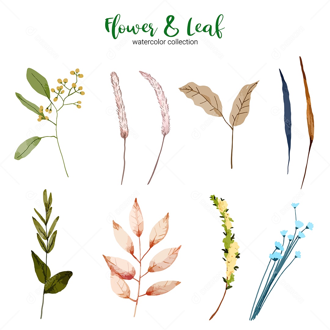 Coleção de folha verde de ilustração em aquarela