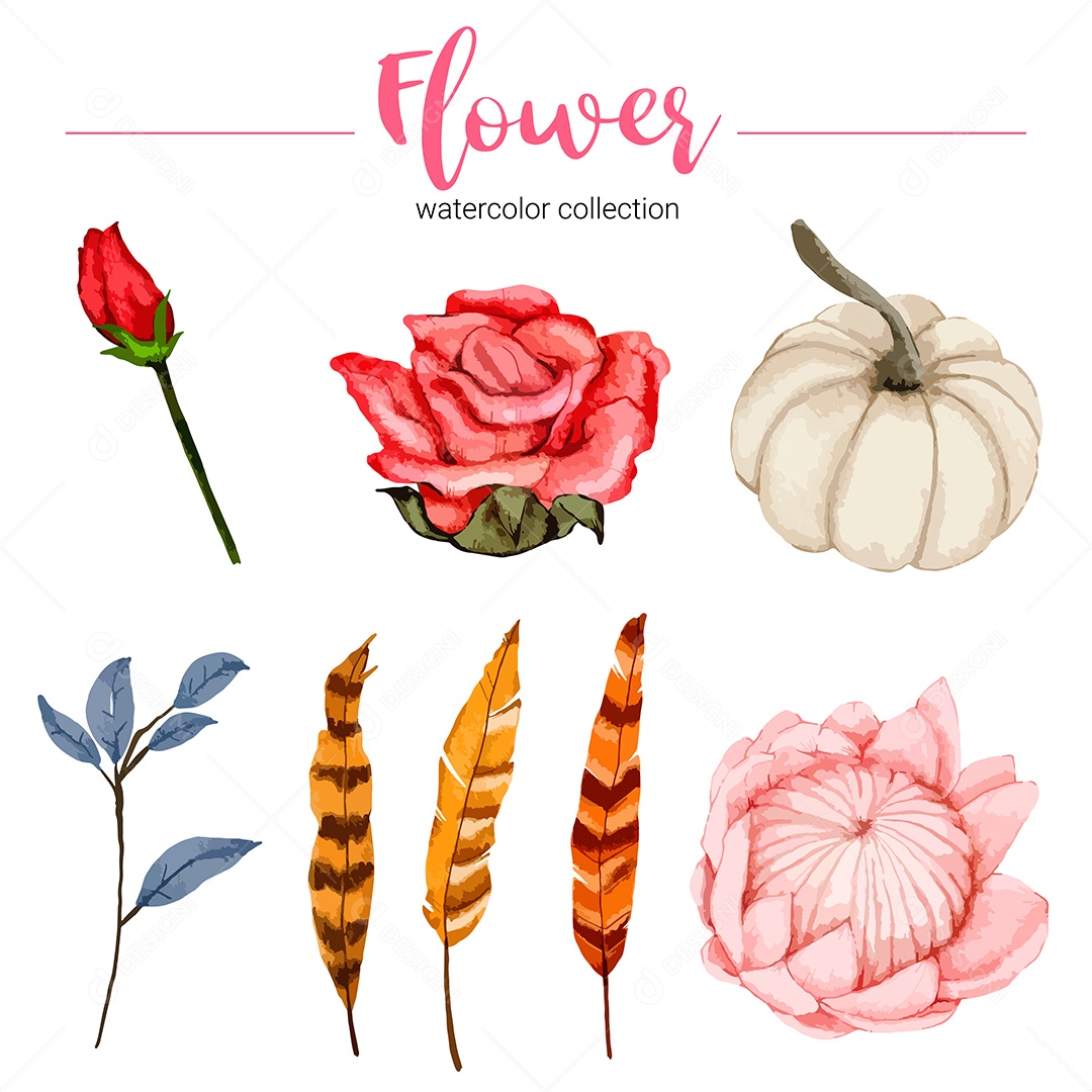 Coleção de ilustração em aquarela linda flor