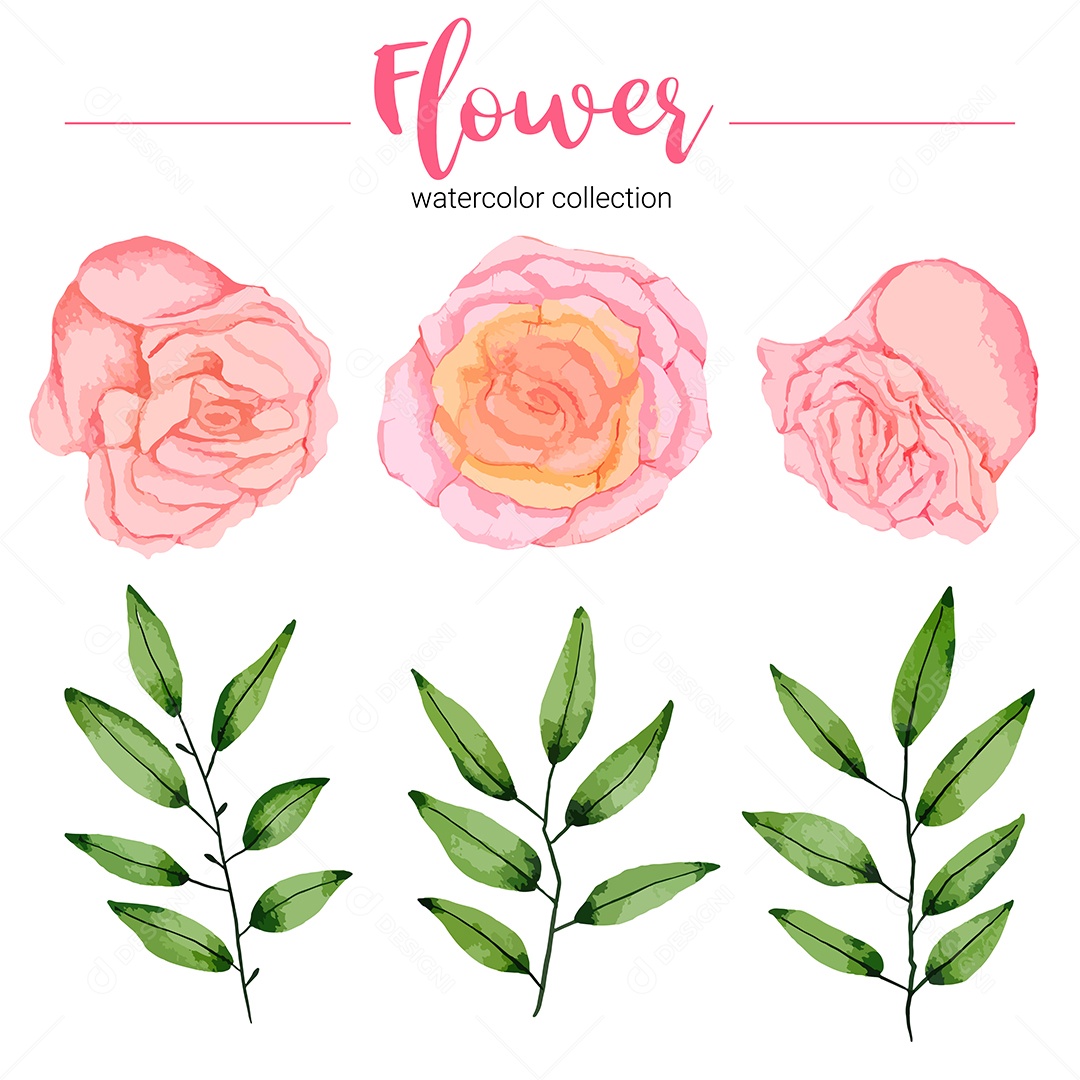 Coleção de ilustração em aquarela linda flor