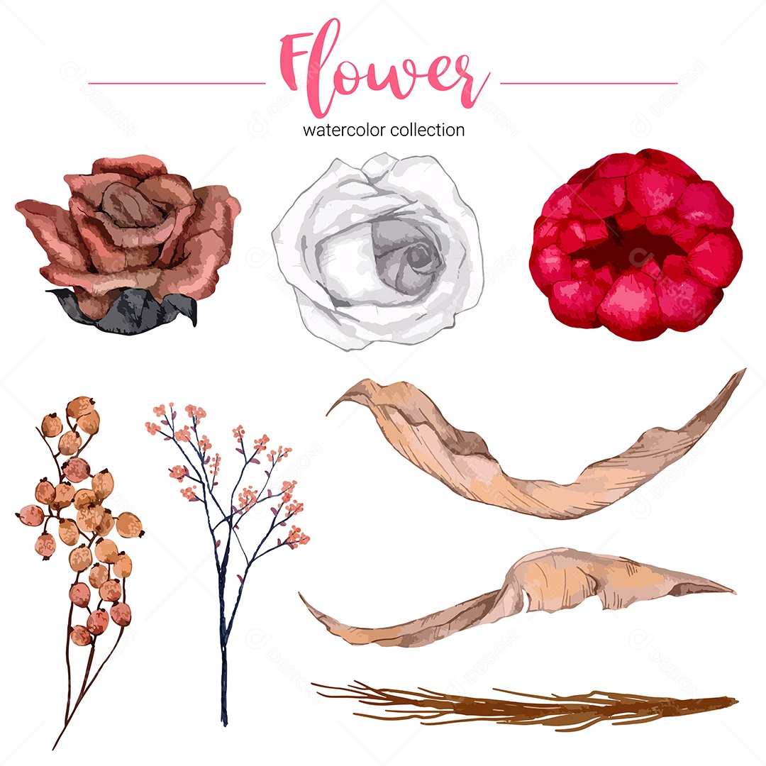 Coleção de ilustração em aquarela linda flor