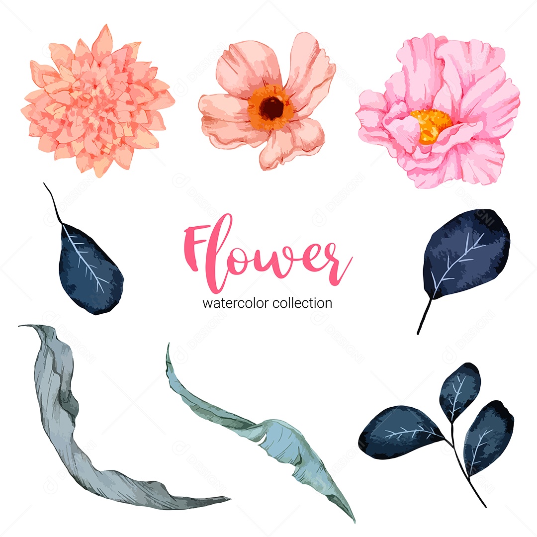 Coleção de ilustração em aquarela linda flor