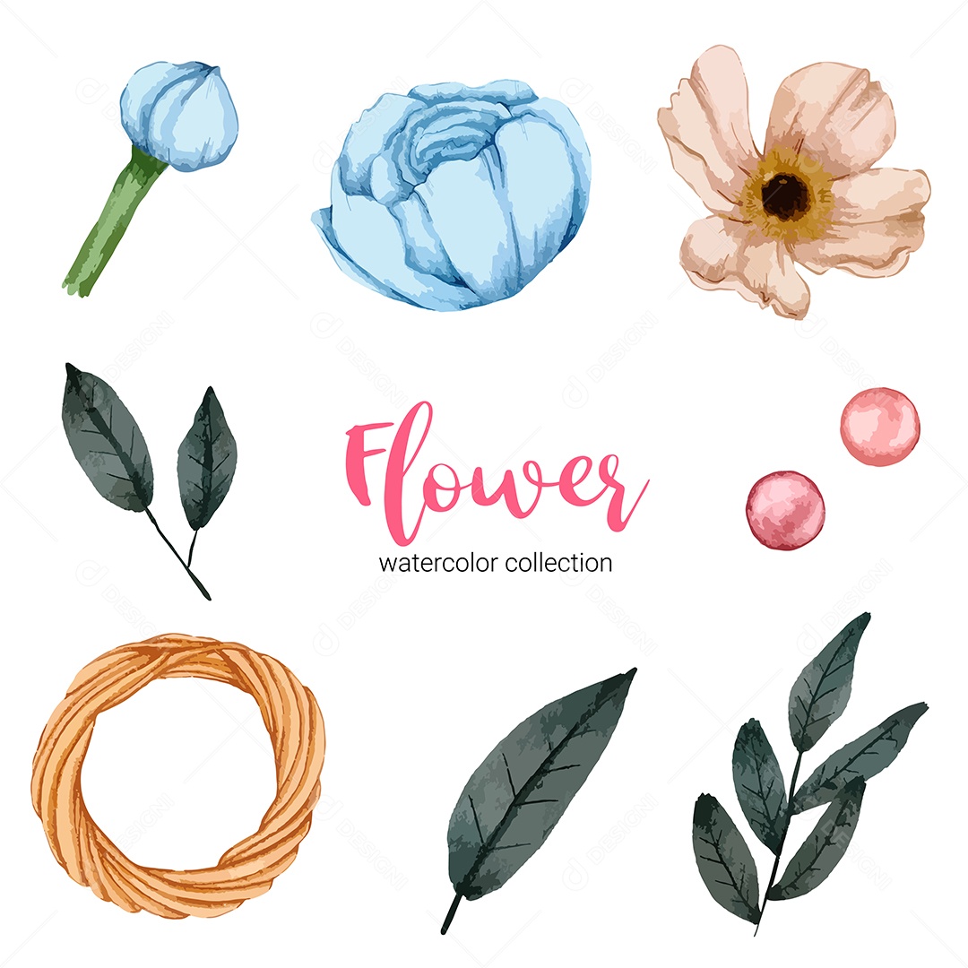 Coleção de ilustração em aquarela linda flor