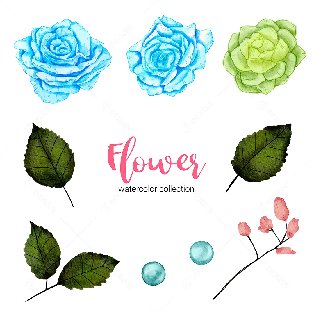 Beautiful flower watercolor illustration collection