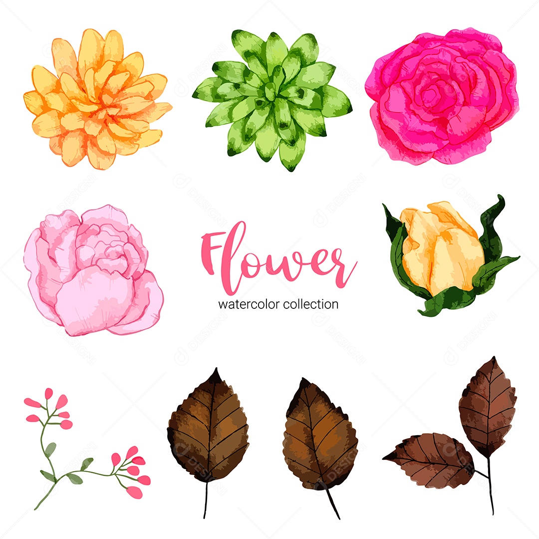 Coleção de ilustração em aquarela linda flor