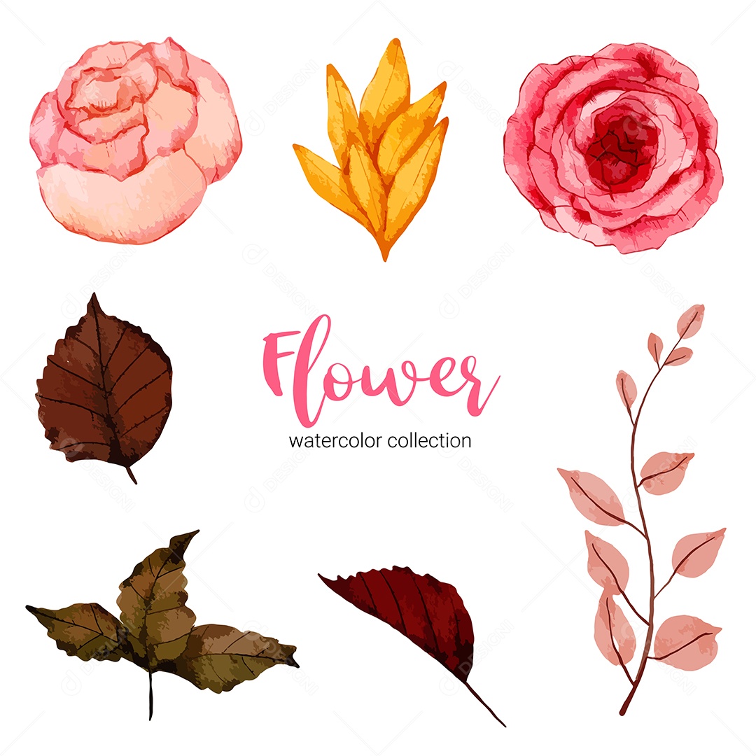 Coleção de ilustração em aquarela linda flor