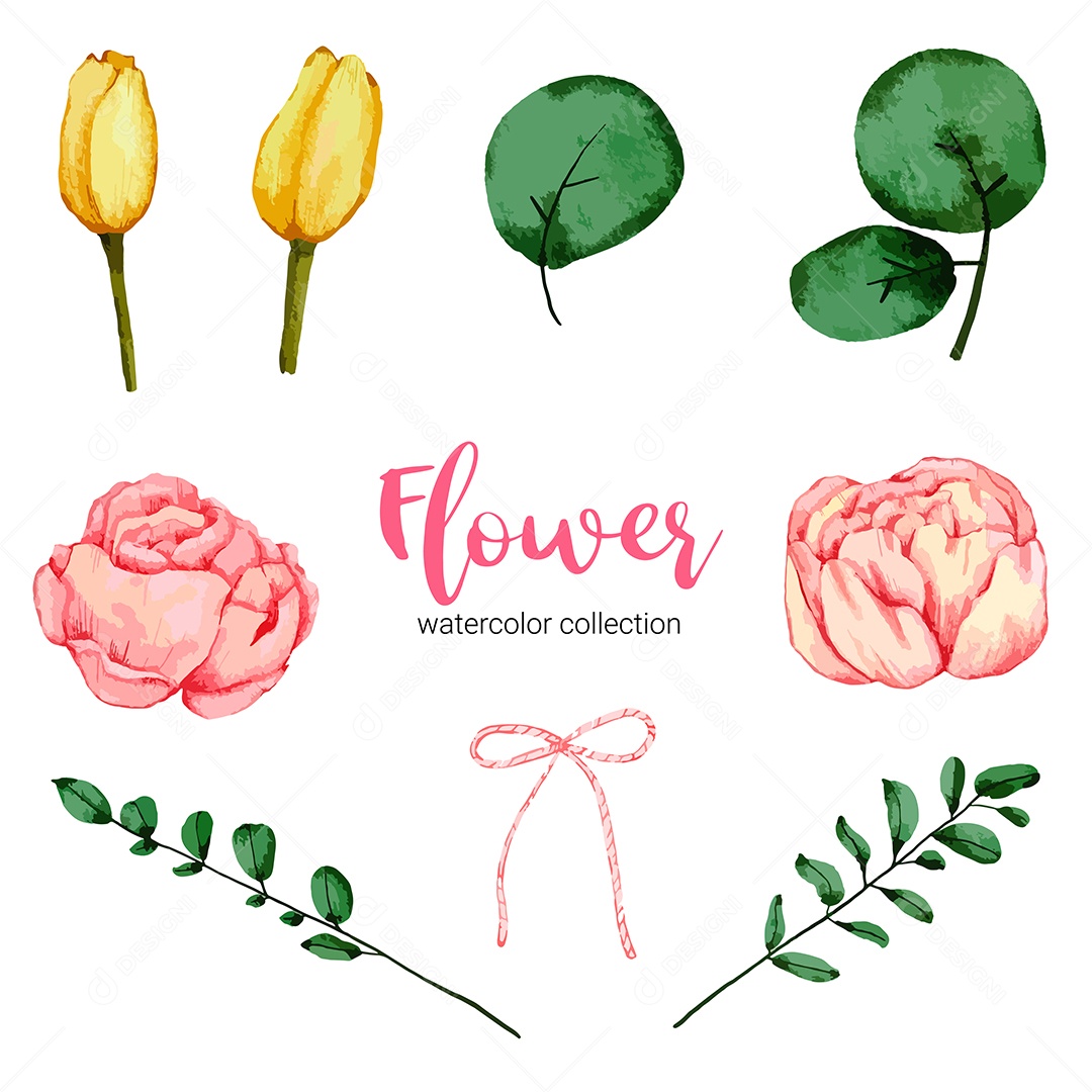 Coleção de ilustração em aquarela linda flor