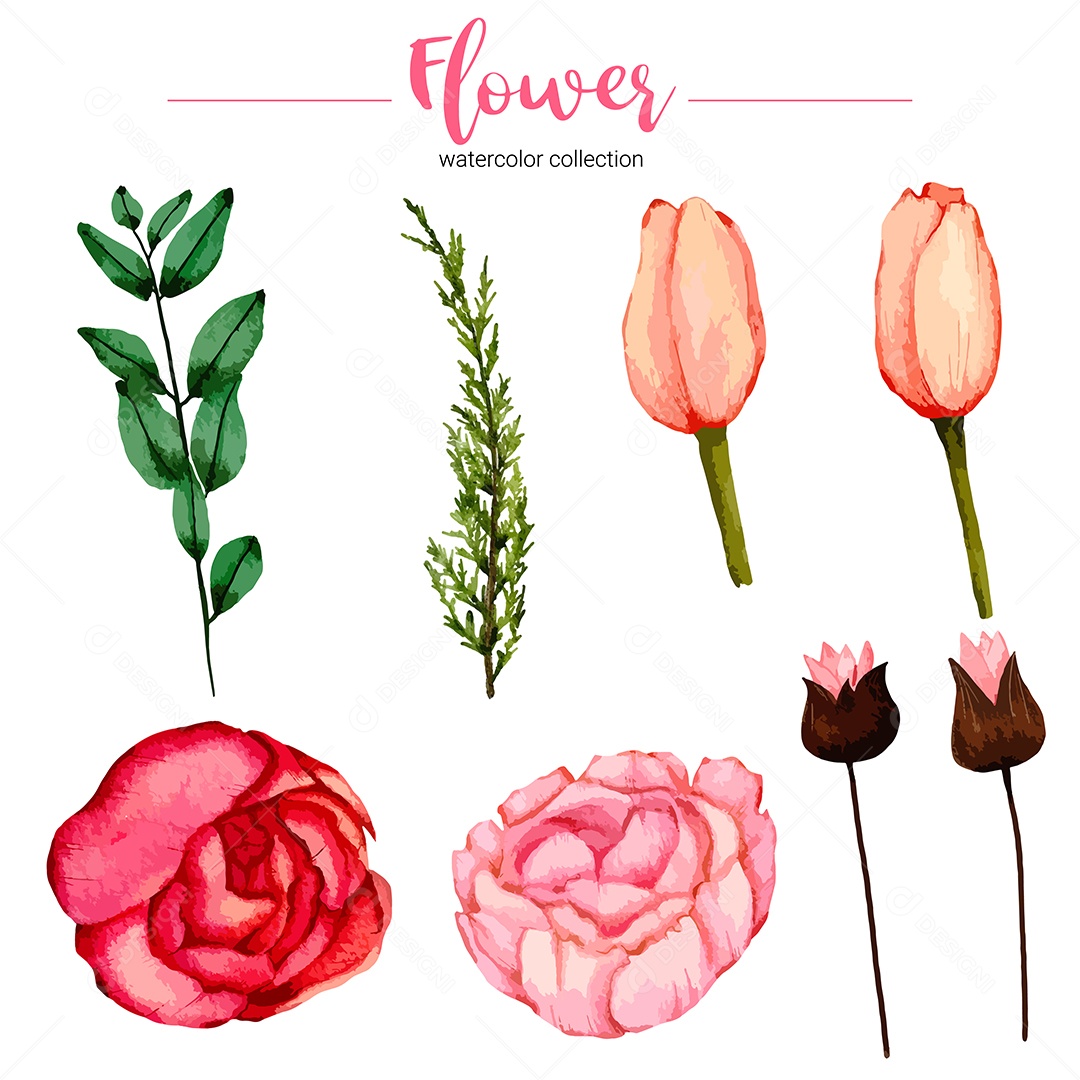Beautiful flower watercolor illustration collection