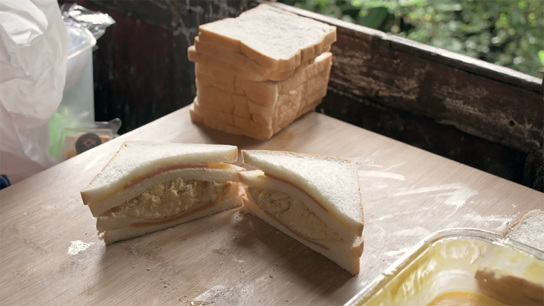 Mão de mulher colocando sanduiche em uma vasilha de plástica MOV