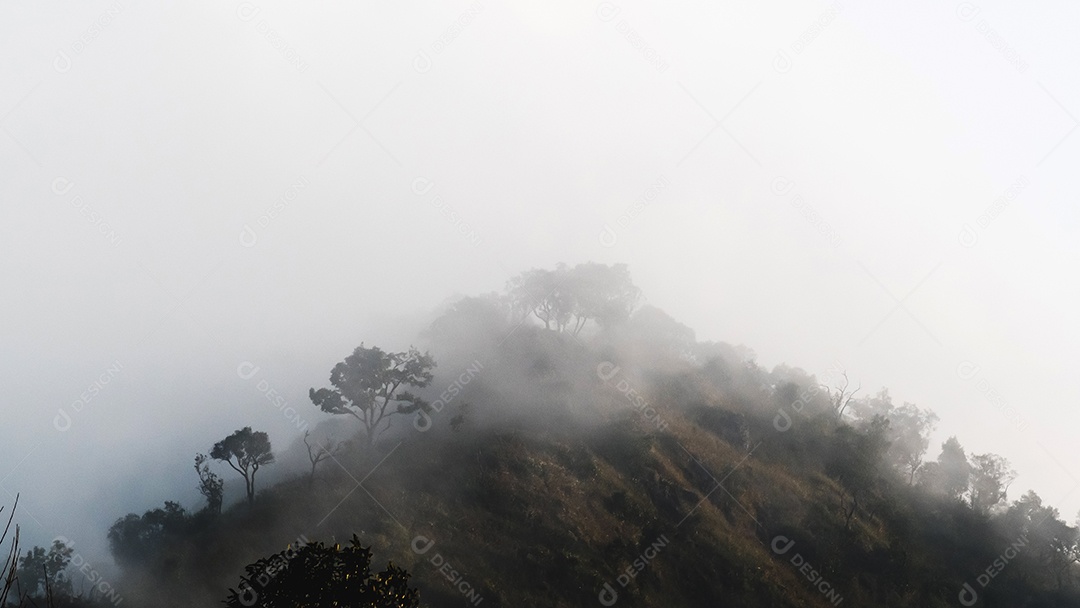 Paisagem enevoada com montanhas de floresta de abetos no nevoeiro