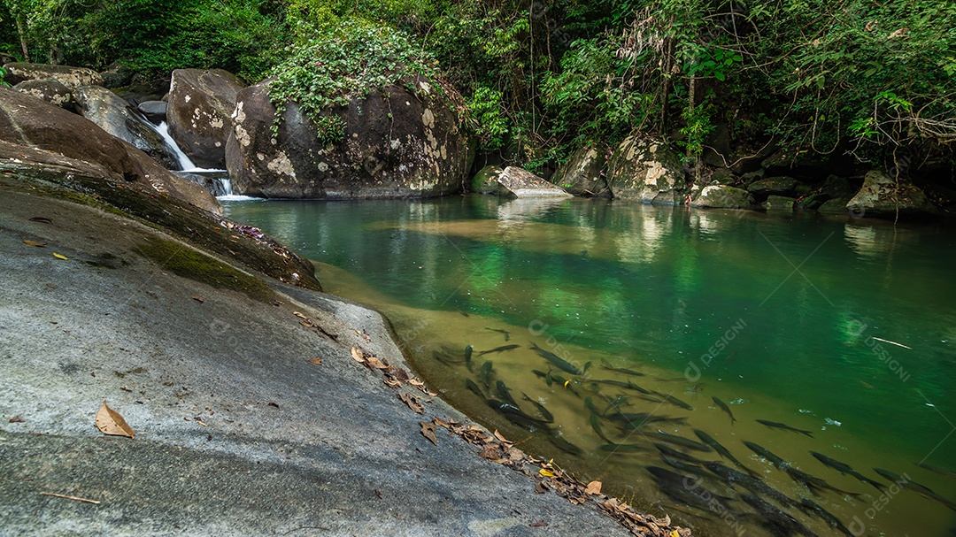 paisagem do fluxo de água esmeralda