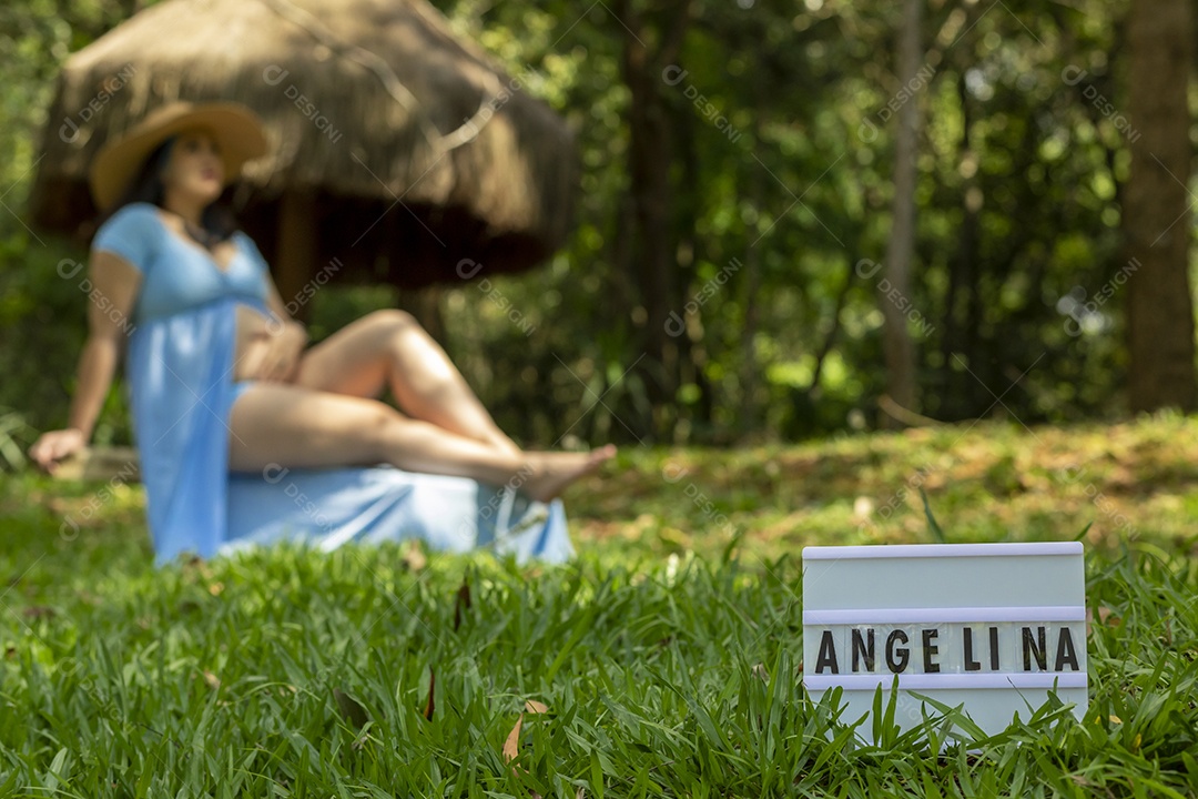 Linda mulher gravida sobre uma lindo local paisagem