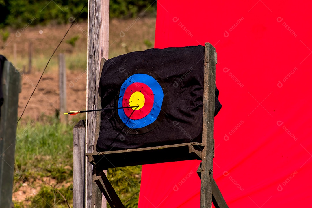 Jogo de arco e flecha, flecha presa no alvo