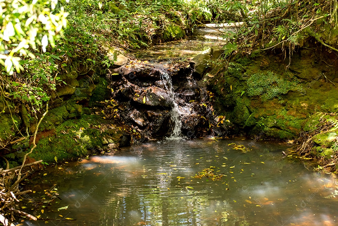 Cachoeira pequena na floresta em Brasil.