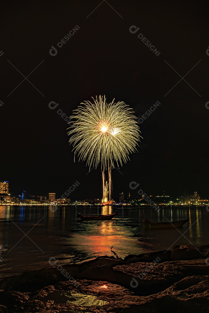 Belos fogos de artifício no parque e pessoas olhando para os fogos de artifício