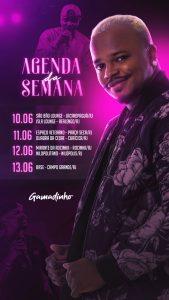 Story Flyer Agenda da Semana Gamadinho Social Media PSD Editável