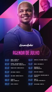 Story Flyer Gamadinho Agenda de Julho Social Media PSD Editável