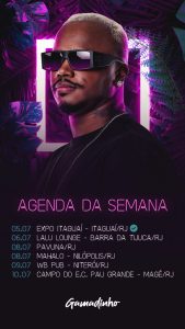 Story Flyer Agenda da Semana Gamadinho Social Media PSD Editável