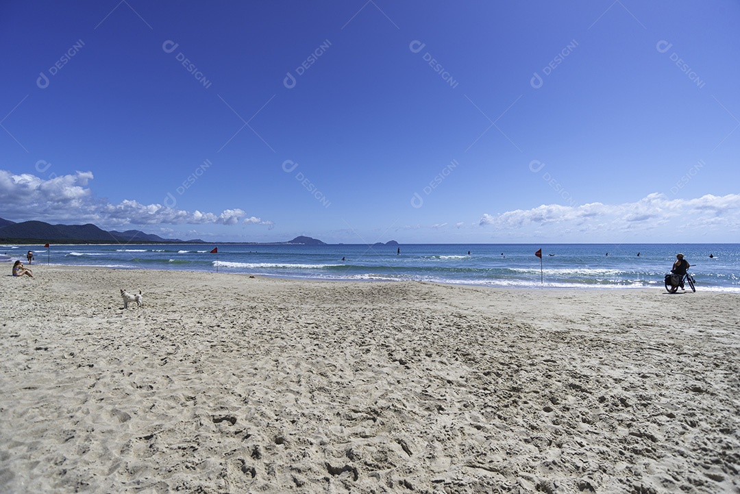 Linda paisagem praia mar ondas céu azul