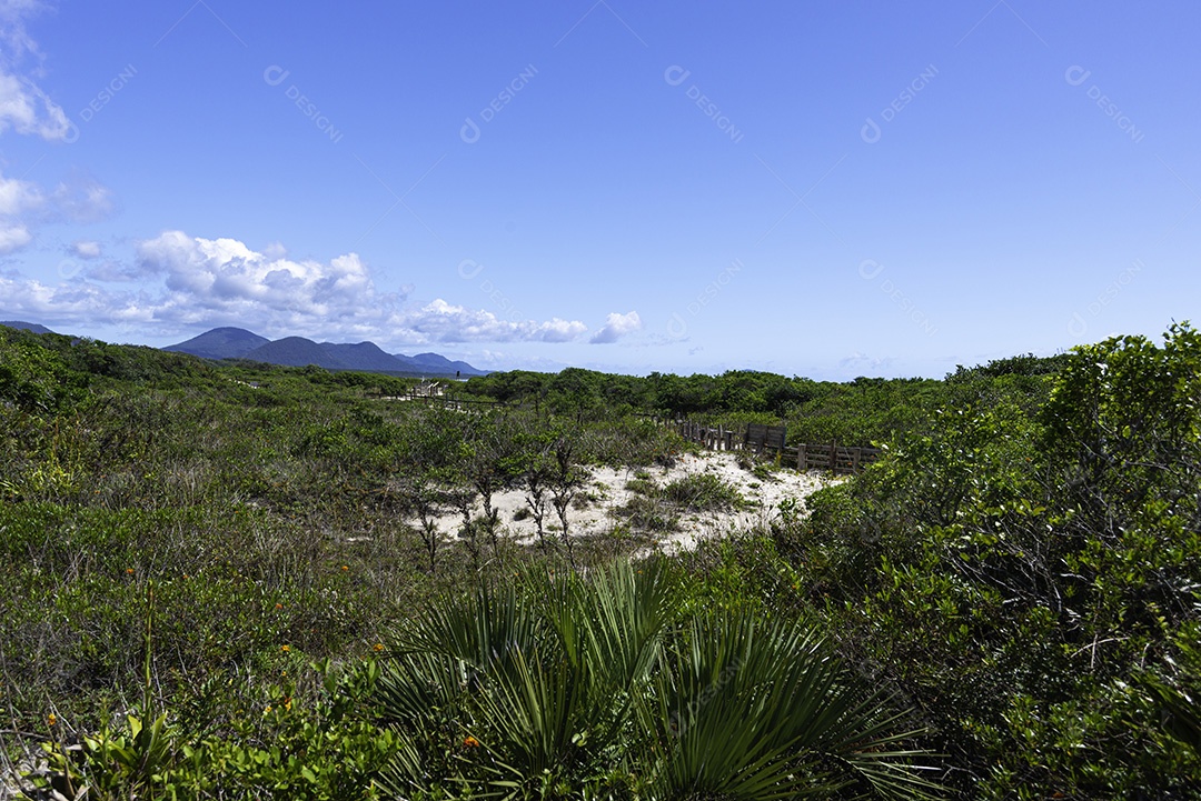 Linda paisagem praia mar ondas céu azul