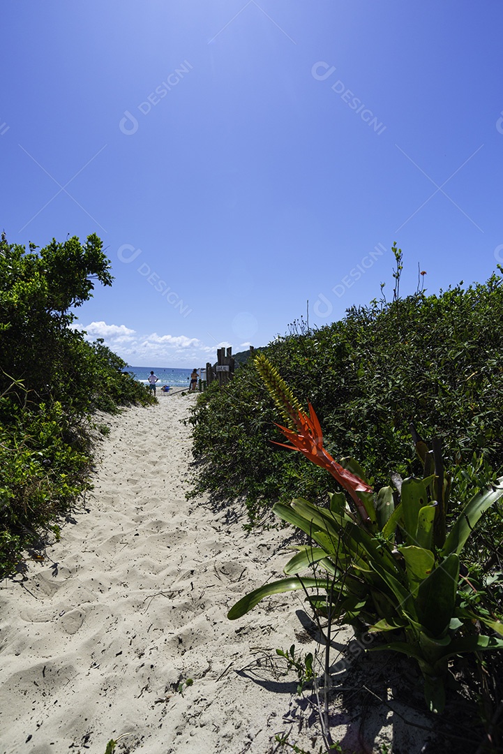 Linda paisagem praia mar ondas céu azul