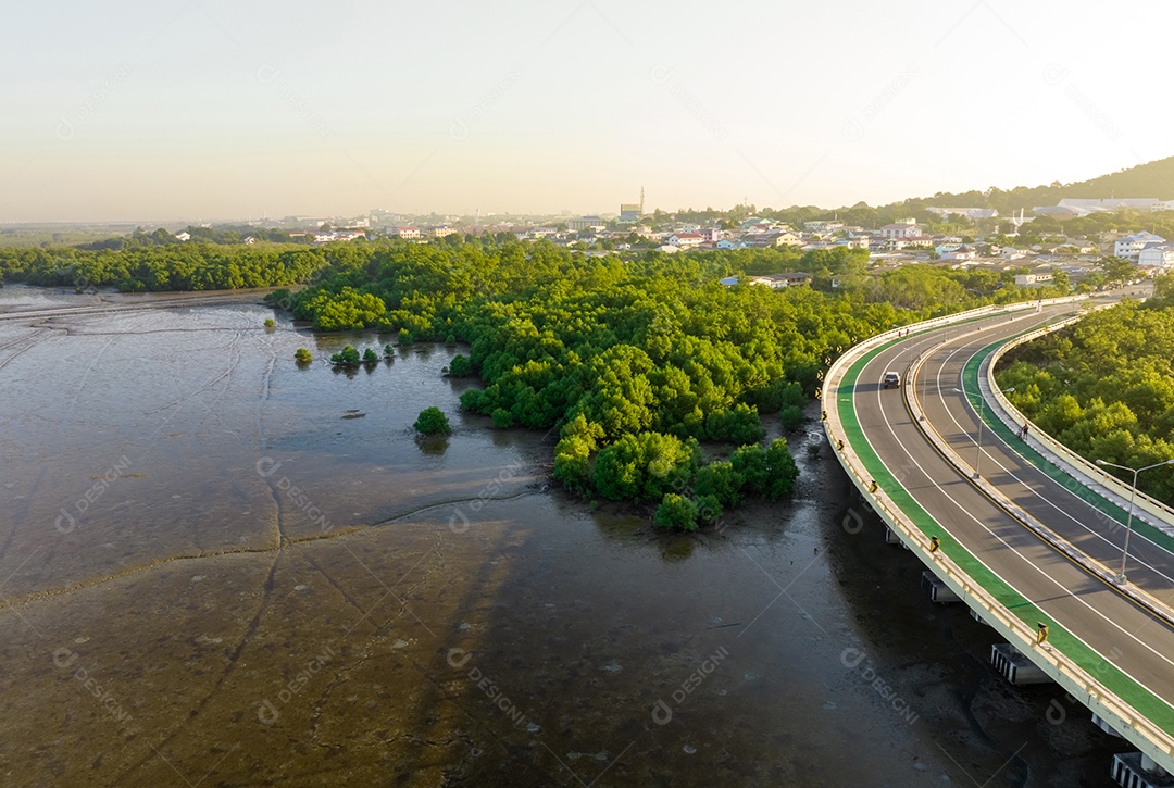 Vista aérea da estrada curva com floresta de mangue verde e beira-mar