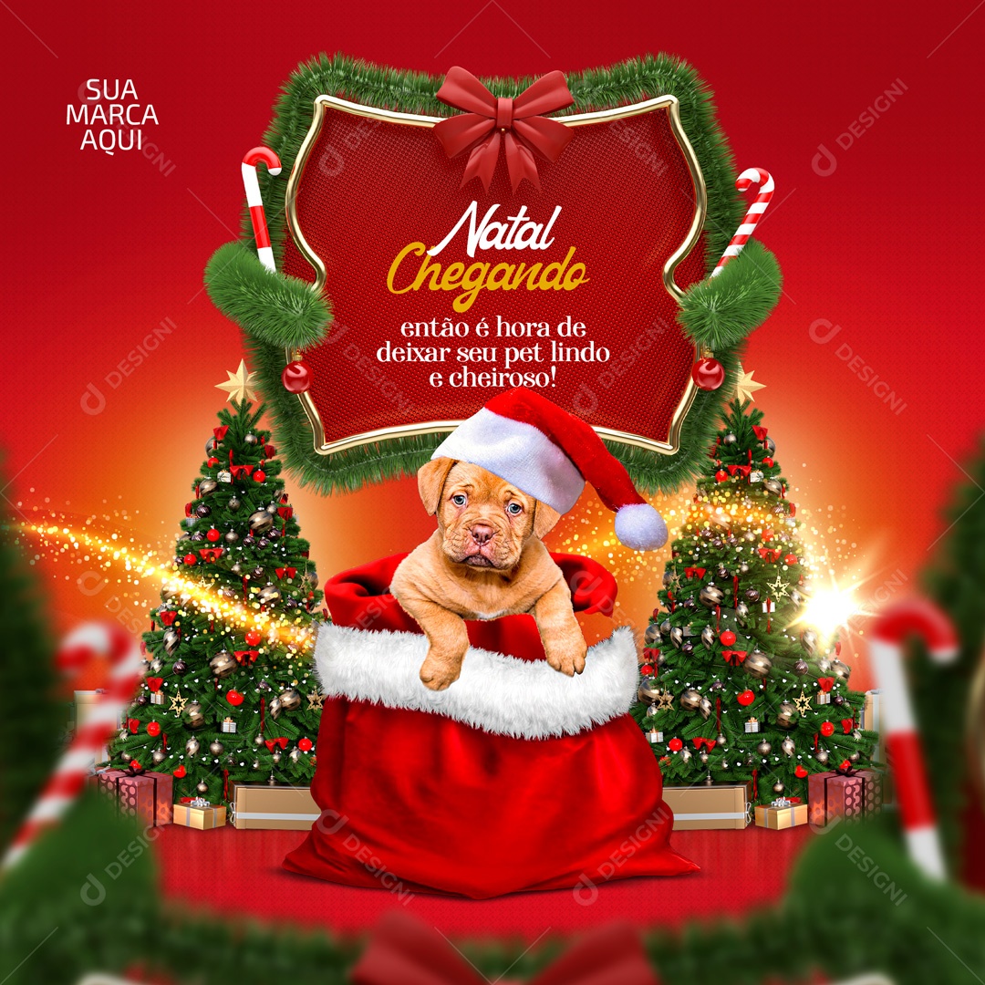 Natal Chegando Estão é Hora de Deixar seu Pet Lindo e Cheiroso Social Media PSD Editável