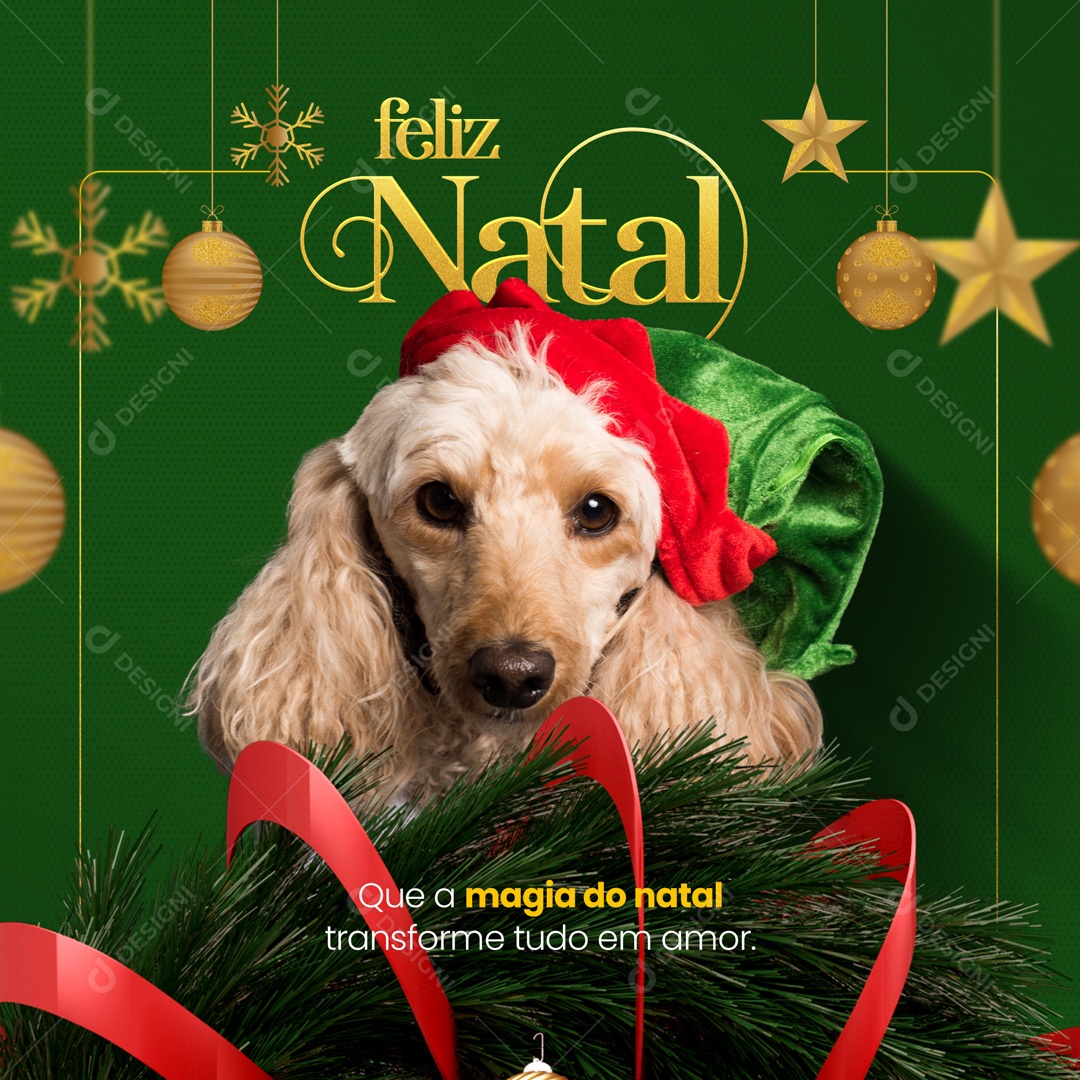 Feliz Natal Que a Magia do Natal Transforme tudo em Amor Social Media PSD Editável