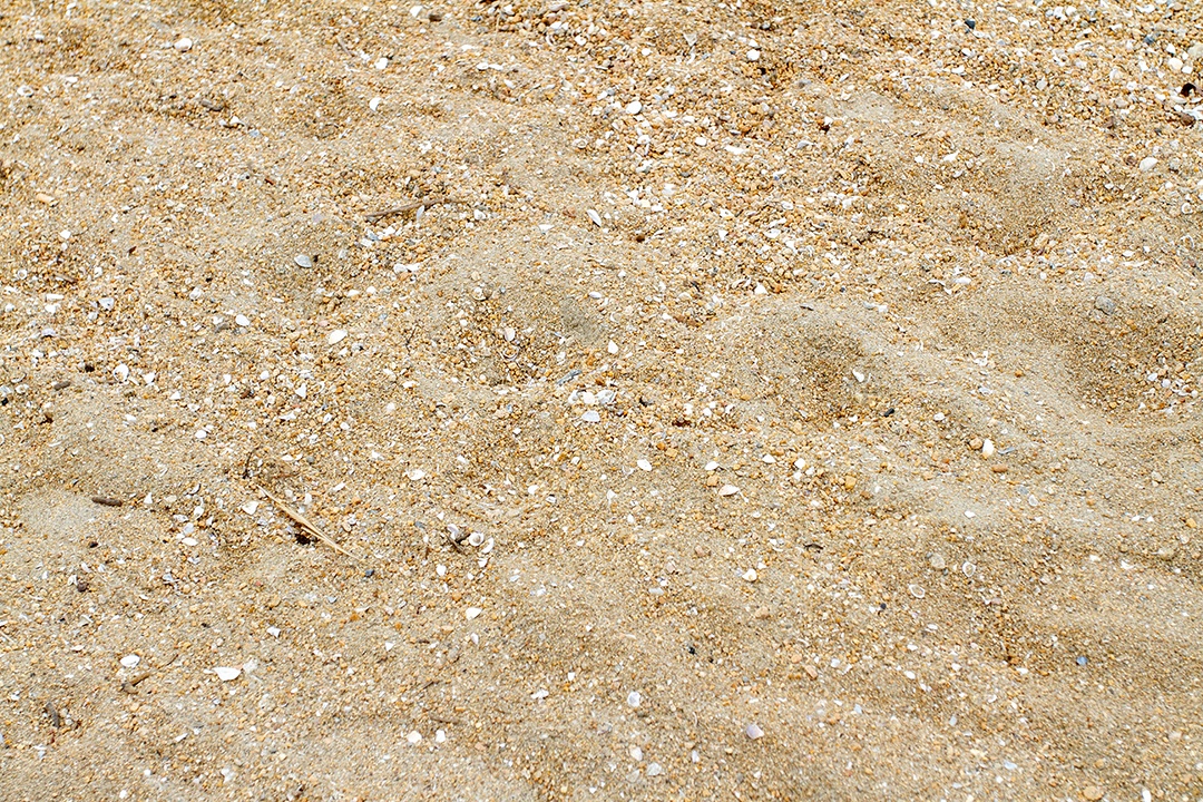 Areia com conchas em uma praia no Rio de Janeiro.