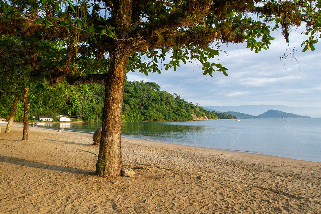 Praia do Pontal em Paraty, Rio de Janeiro.