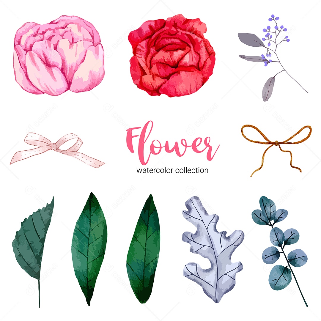 Coleção de Ilustração em Aquarela Linda Flor Vetores EPS Editável