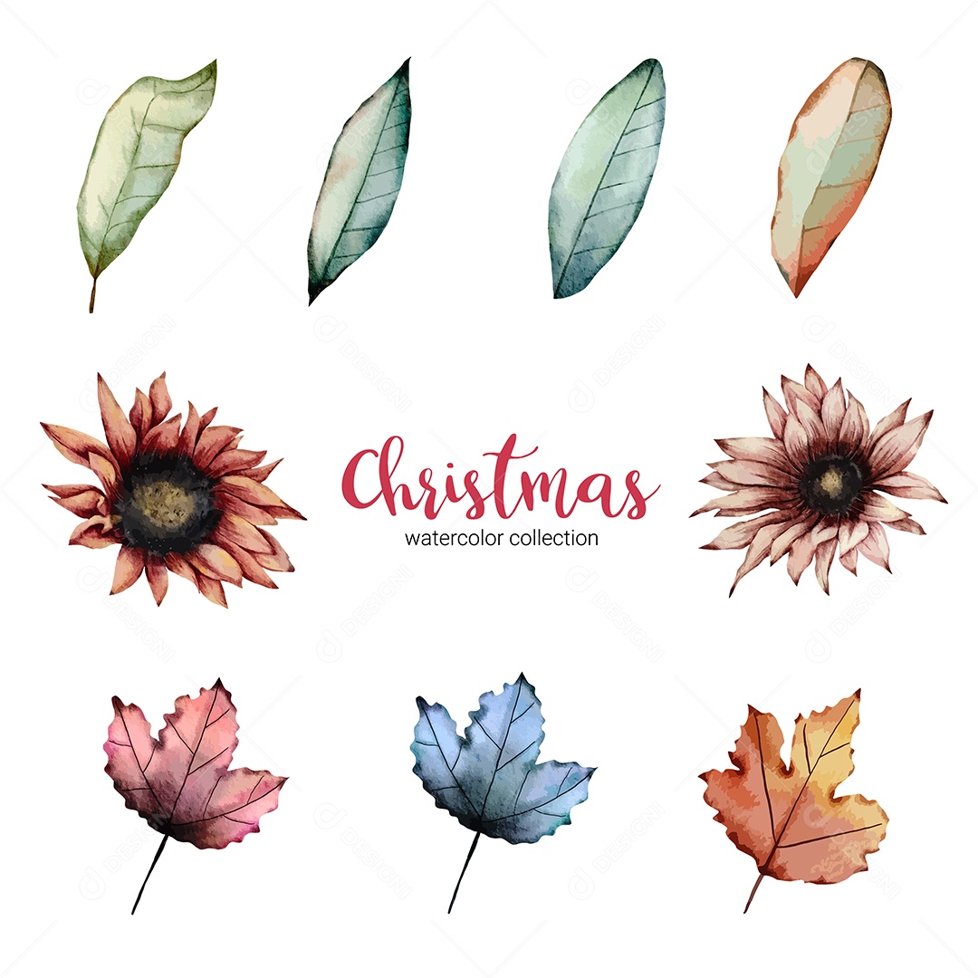 Coleção de Ilustração em Aquarela Vetores EPS Editável