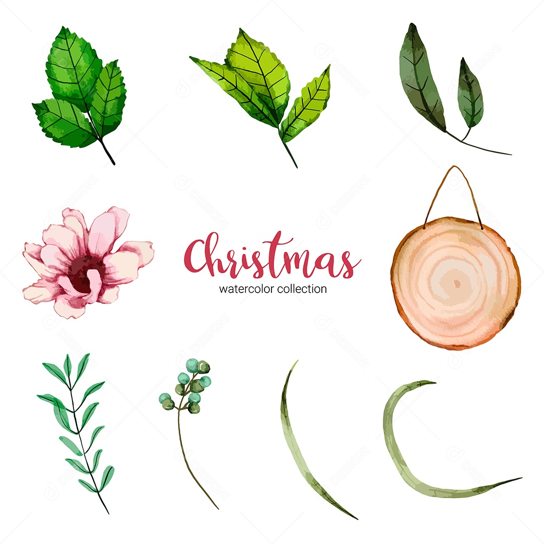 Coleção de Ilustração em Aquarela Vetores EPS Editável