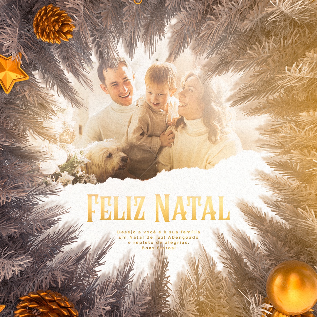 Desejo a Você e à Sua Família um Natal de Luz Feliz Natal Social Media PSD Editável