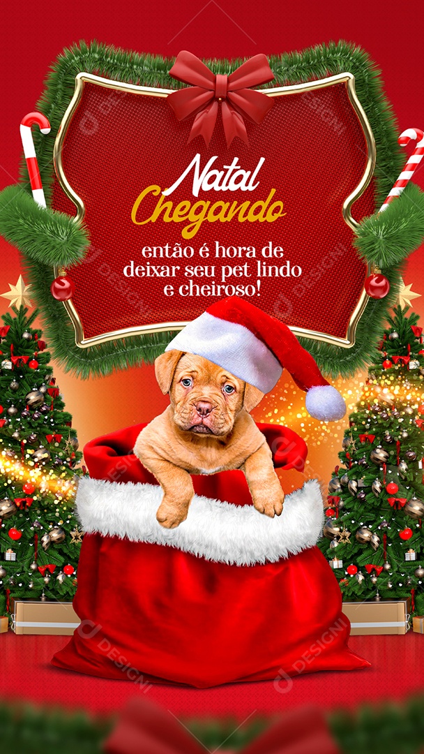 Natal Chegando Estão é Hora de Deixar seu Pet Lindo e Cheiroso Story Social Media PSD Editável