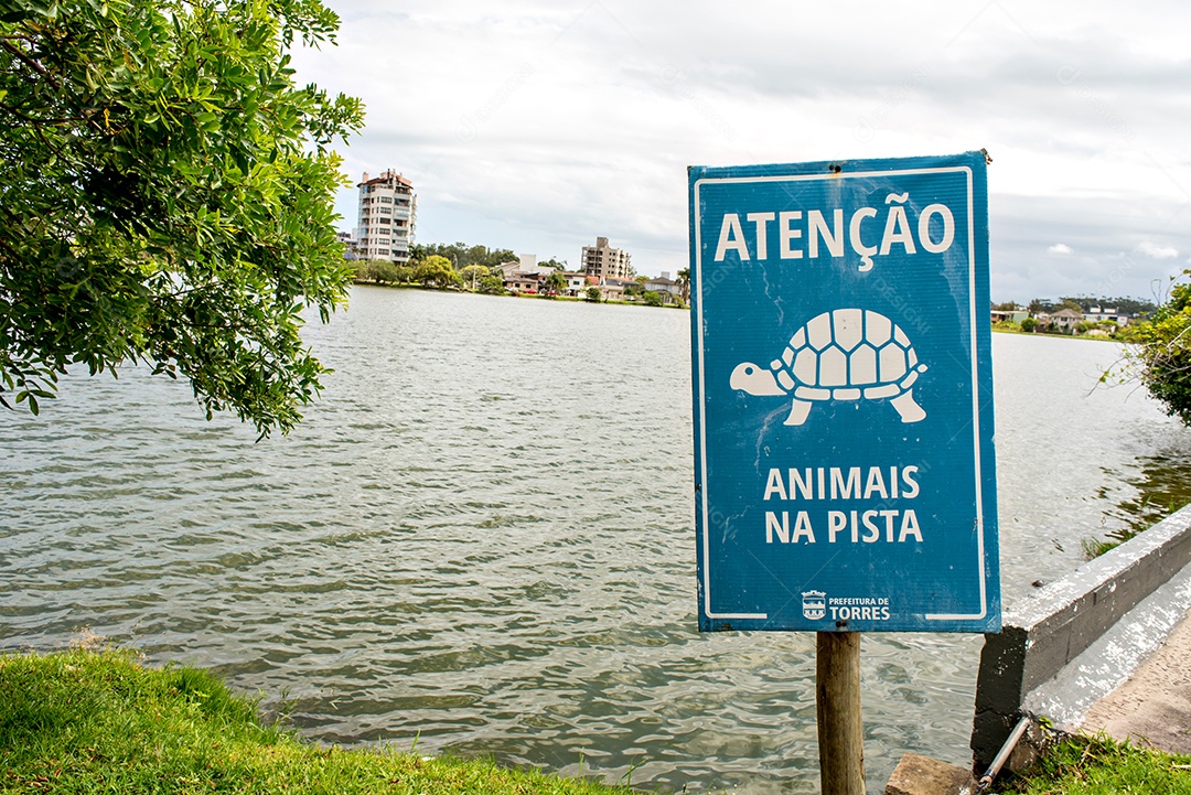 Sinal de tartaruga no lago da cidade de Torres, Rio Grande do Sul