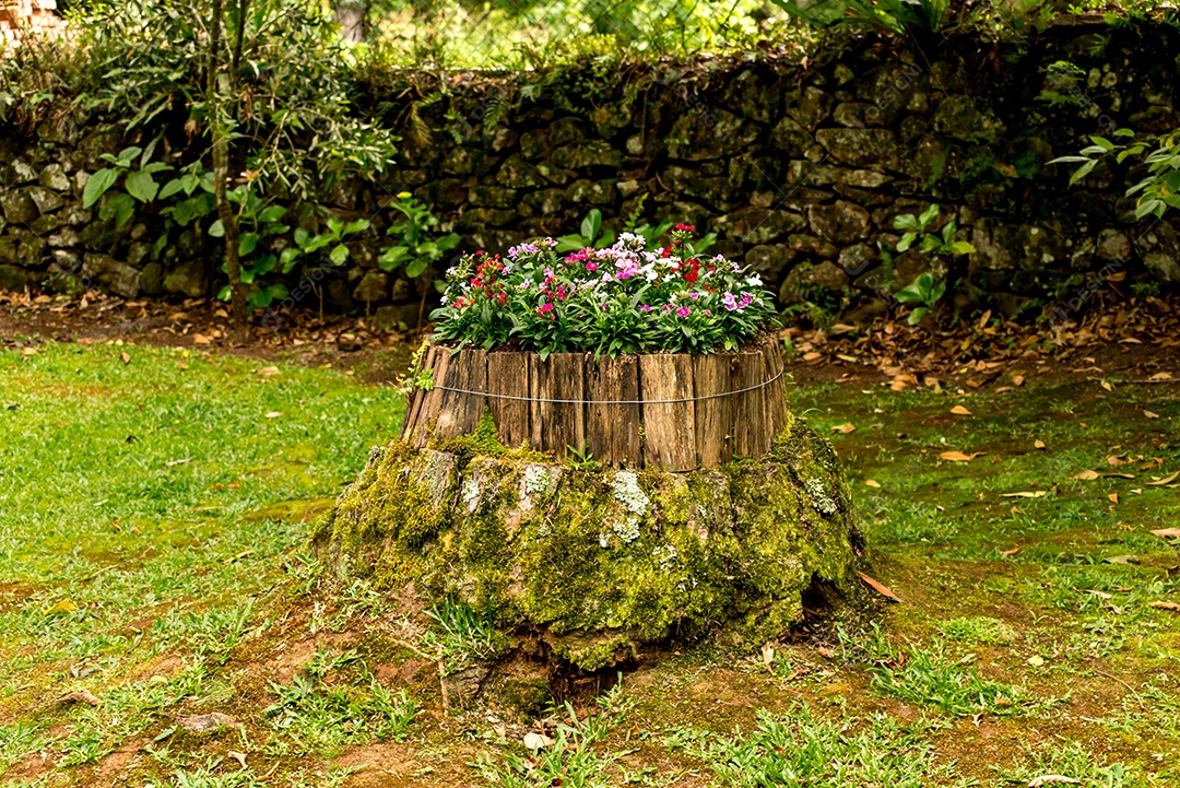 Tronco de arvores sobre uma campo verde