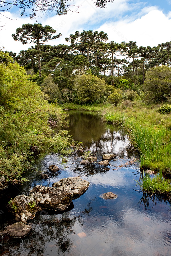 Rio de águas cristalinas nos cânions brasileiros