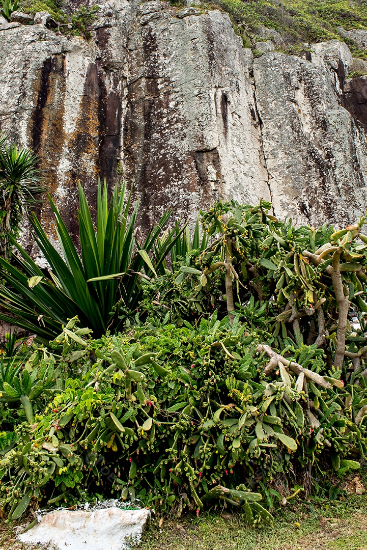 Fundo de textura de monte de pedra no meio da natureza, Torres seja
