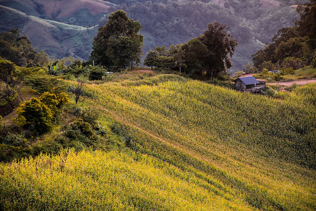 montanhas de paisagem durante o crepúsculo em Nan Tailândia